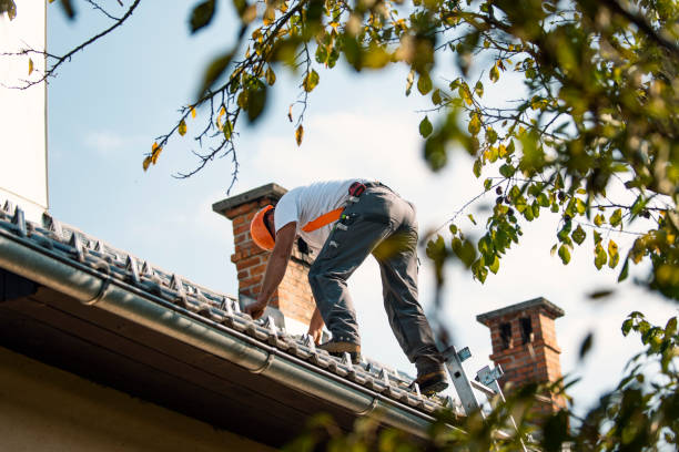 Steel Roofing in Port Edwards, WI