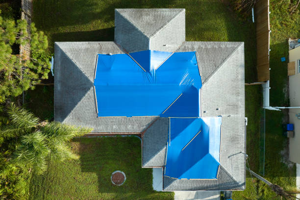 Best Skylight Installation and Repair  in Port Edwards, WI